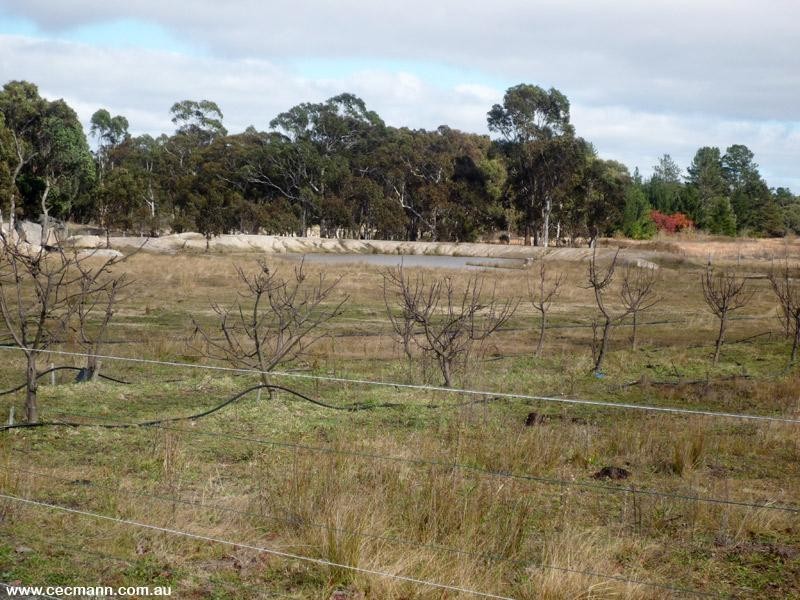 85 Schumann Lane, Thulimbah QLD 4376