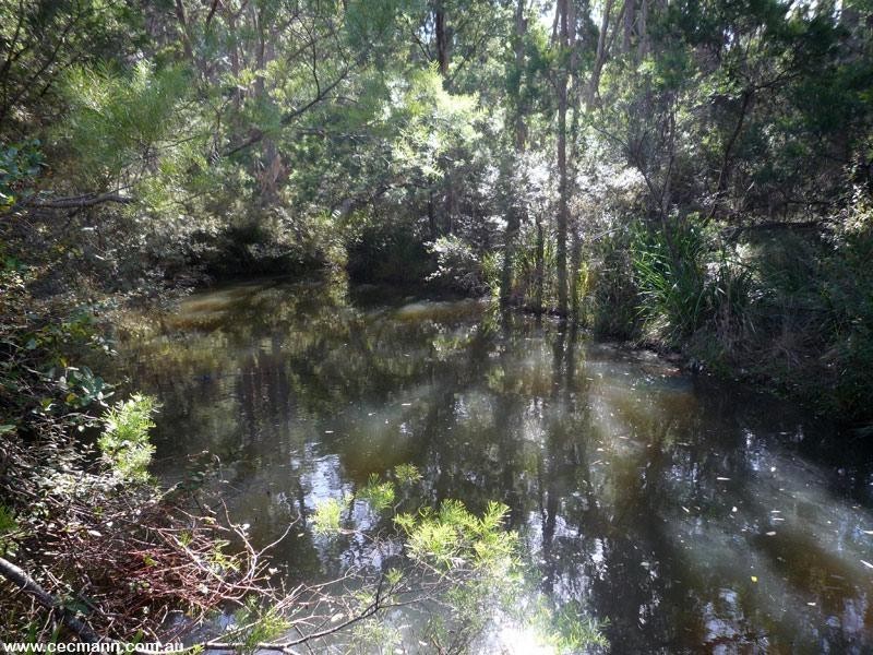 79 Nelson Crescent, Stanthorpe QLD 4380