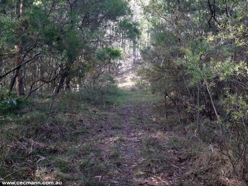 79 Nelson Crescent, Stanthorpe QLD 4380