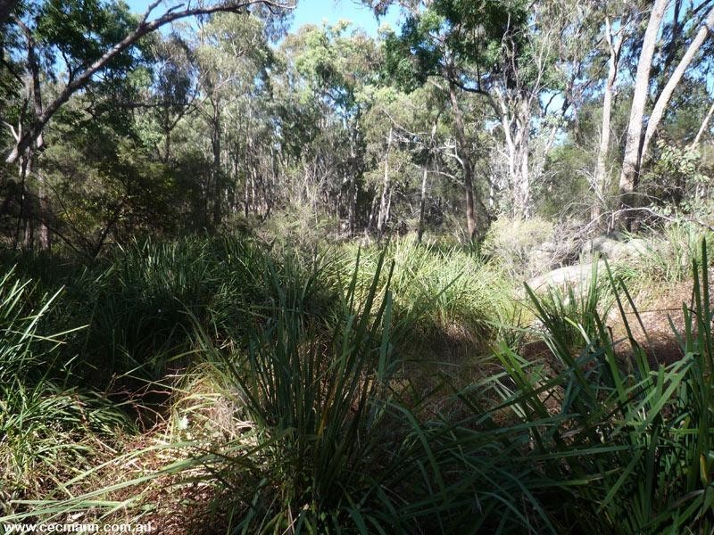 79 Nelson Crescent, Stanthorpe QLD 4380