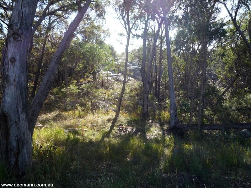 79 Nelson Crescent, Stanthorpe QLD 4380