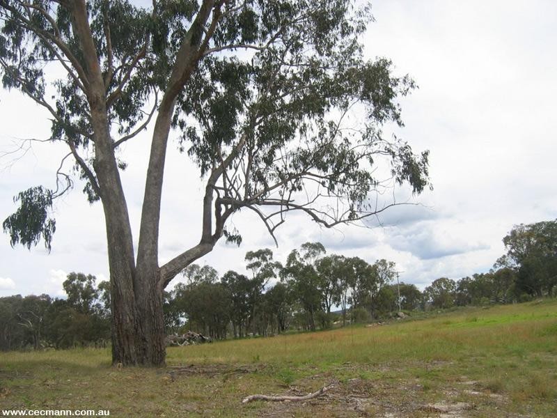 Lot 4 Mills Road, Dalcouth QLD 4380