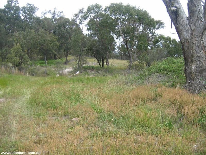 Lot 4 Mills Road, Dalcouth QLD 4380