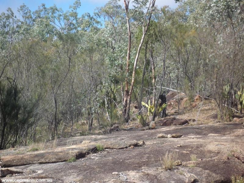 887 Bents Road, Ballandean QLD 4382