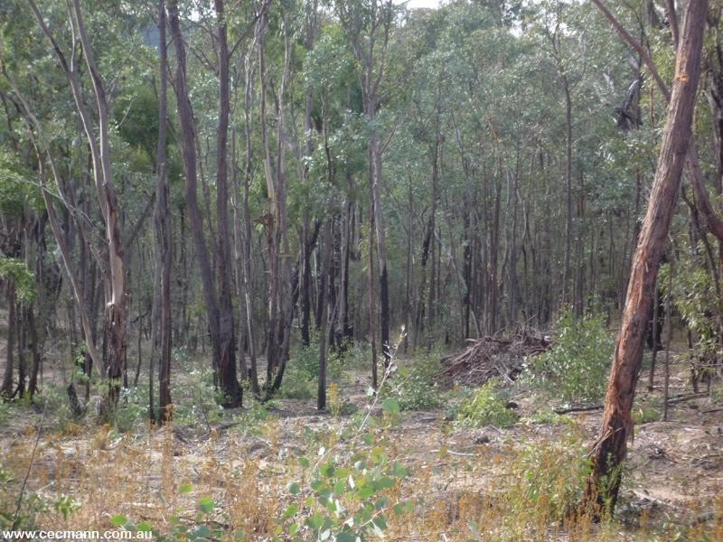 887 Bents Road, Ballandean QLD 4382