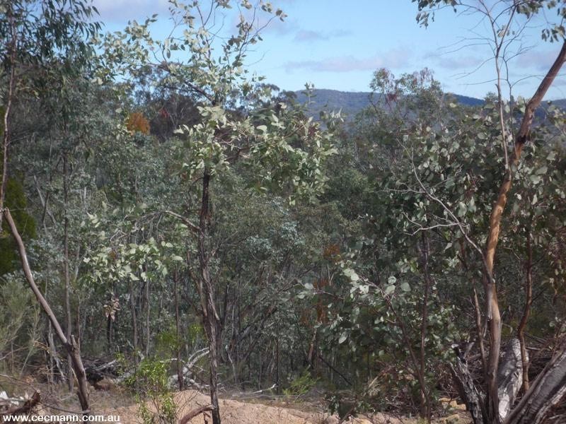 887 Bents Road, Ballandean QLD 4382