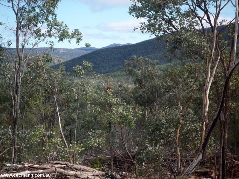 887 Bents Road, Ballandean QLD 4382