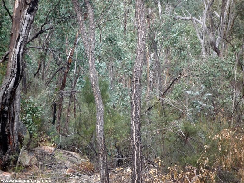 887 Bents Road, Ballandean QLD 4382