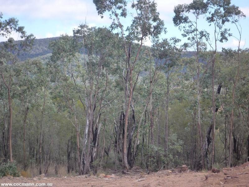 887 Bents Road, Ballandean QLD 4382