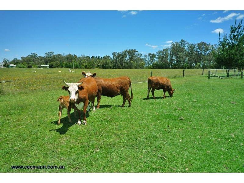 146 Ridge Road, The Summit QLD 4377