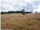 384 Sorrento Road, Dalveen QLD 4374