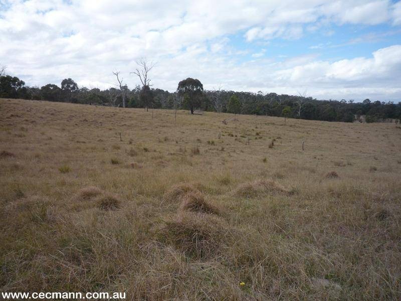 384 Sorrento Road, Dalveen QLD 4374