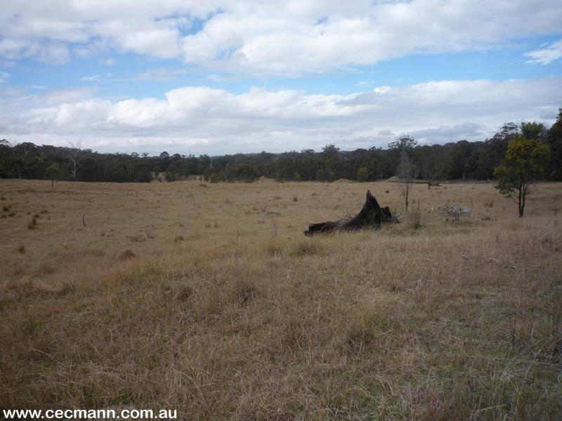 384 Sorrento Road, Dalveen QLD 4374