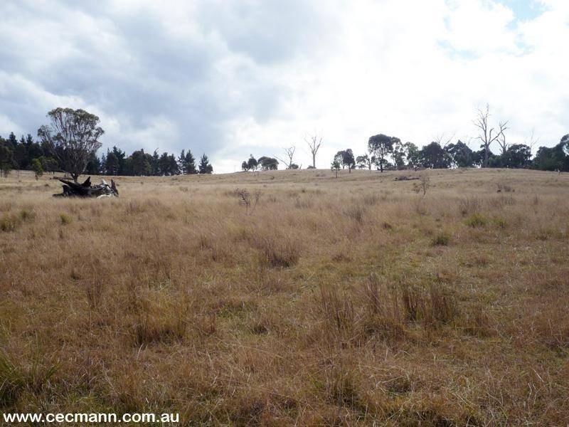 384 Sorrento Road, Dalveen QLD 4374