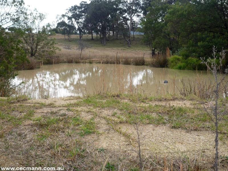 195 Tunnel Road, Dalveen QLD 4374