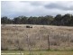 The Summit QLD 4377