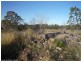 Lot 5 Amiens Road, Stanthorpe QLD 4380