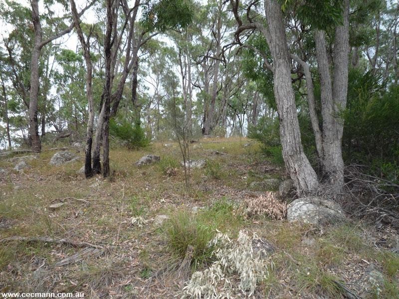 Lot 11 Furness Road, Broadwater QLD 4380