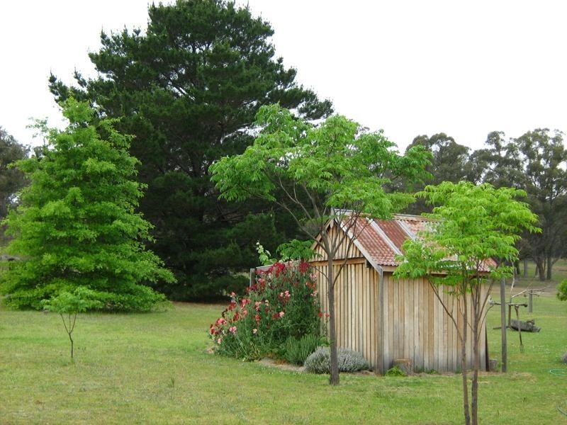 541 Nielsens Road, Stanthorpe QLD 4380