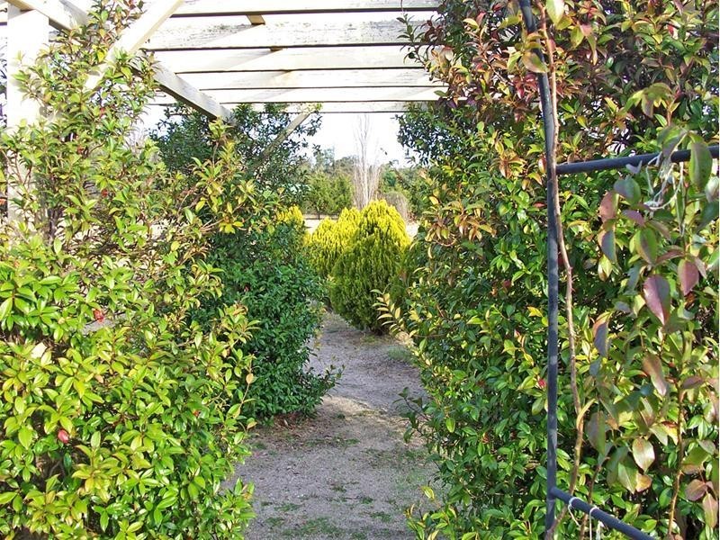 19 Pioneer Parade, Stanthorpe QLD 4380