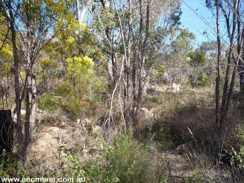 257 Horans Gorge Road, Glen Aplin QLD 4381