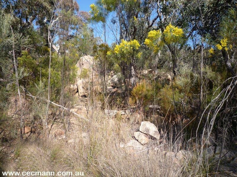 257 Horans Gorge Road, Glen Aplin QLD 4381