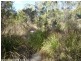 257 Horans Gorge Road, Glen Aplin QLD 4381