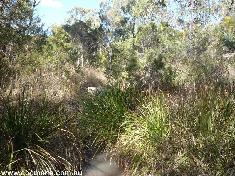 257 Horans Gorge Road, Glen Aplin QLD 4381