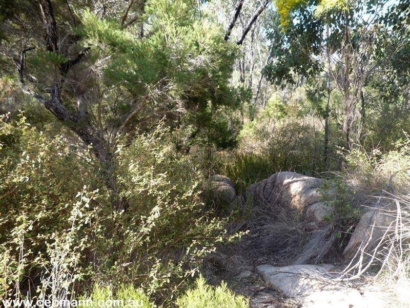 257 Horans Gorge Road, Glen Aplin QLD 4381