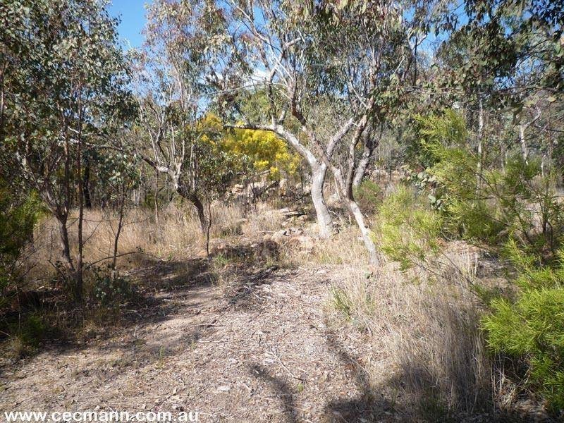 257 Horans Gorge Road, Glen Aplin QLD 4381