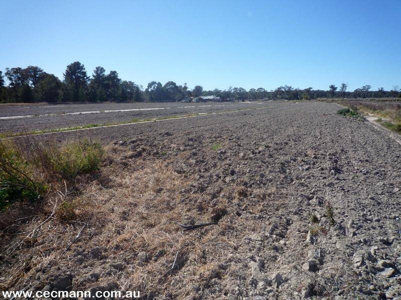135 Barnes Road, Applethorpe QLD 4378