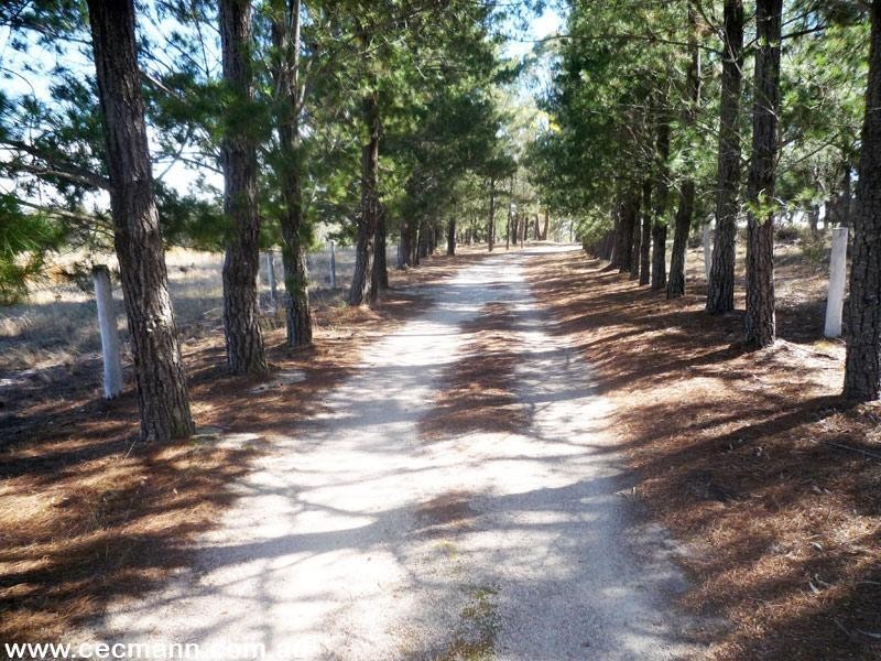 12 Nicholson Road, Stanthorpe QLD 4380