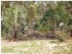 67 Lees Mountain Road, Stanthorpe QLD 4380