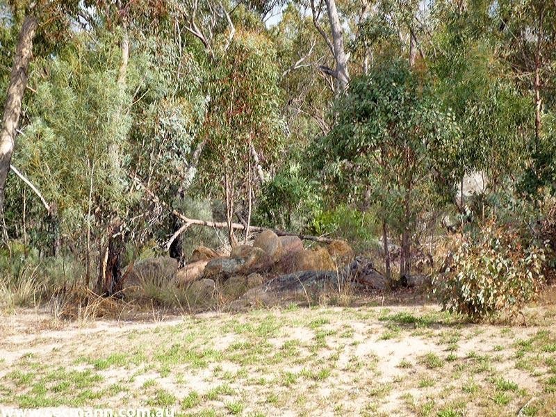 67 Lees Mountain Road, Stanthorpe QLD 4380