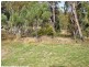 67 Lees Mountain Road, Stanthorpe QLD 4380