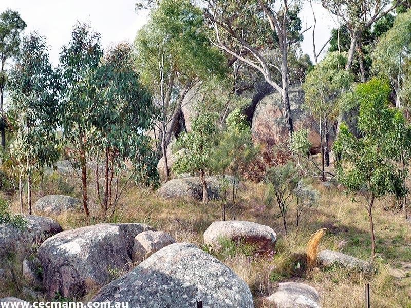 67 Lees Mountain Road, Stanthorpe QLD 4380