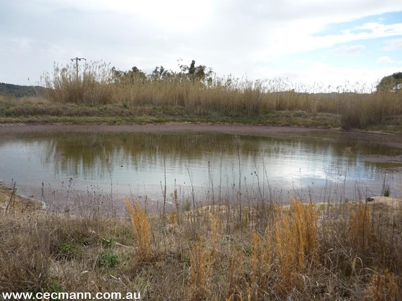 Lot 1 Sundown Road, Ballandean QLD 4382