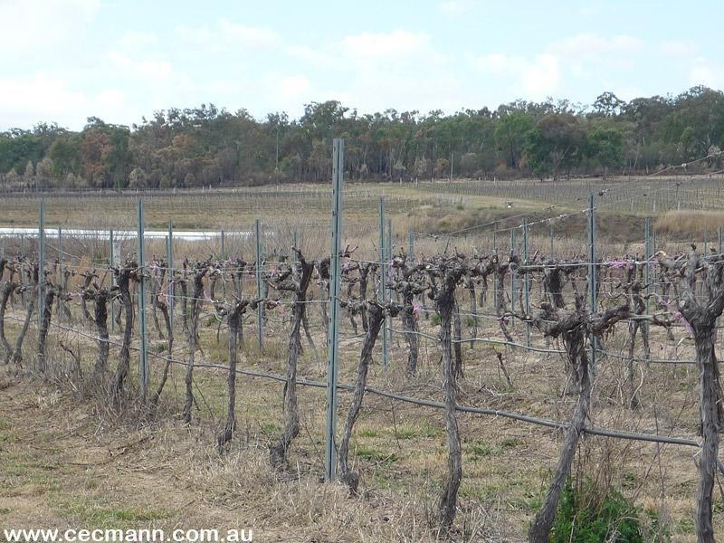 Lot 1 Sundown Road, Ballandean QLD 4382