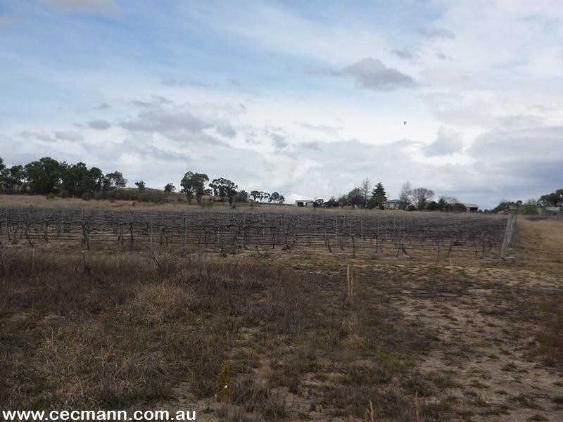 Lot 1 Sundown Road, Ballandean QLD 4382