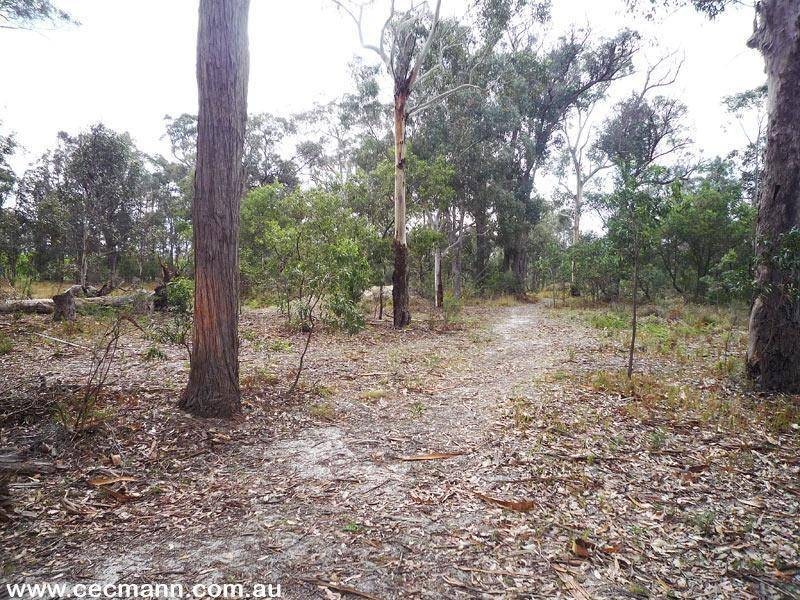 96 Barnes Road, Applethorpe QLD 4378