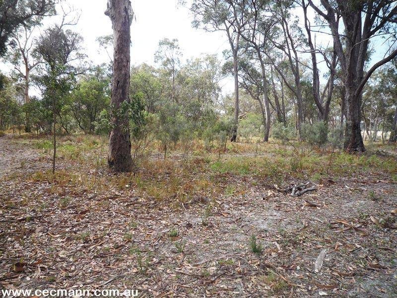 96 Barnes Road, Applethorpe QLD 4378
