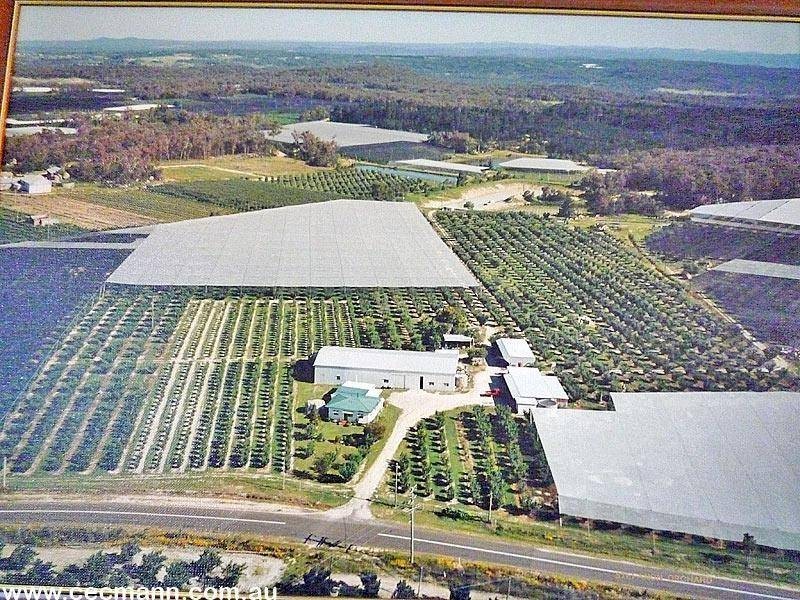 2772 Amiens Road, Pozieres QLD 4352