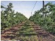 2772 Amiens Road, Pozieres QLD 4352