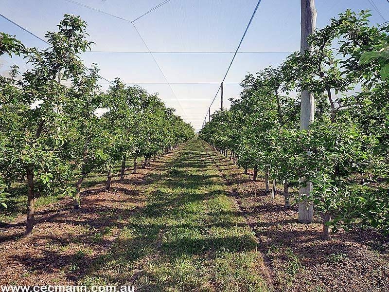 2772 Amiens Road, Pozieres QLD 4352