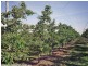 2772 Amiens Road, Pozieres QLD 4352