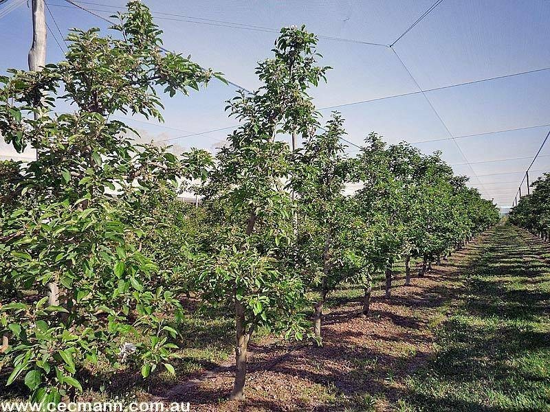 2772 Amiens Road, Pozieres QLD 4352