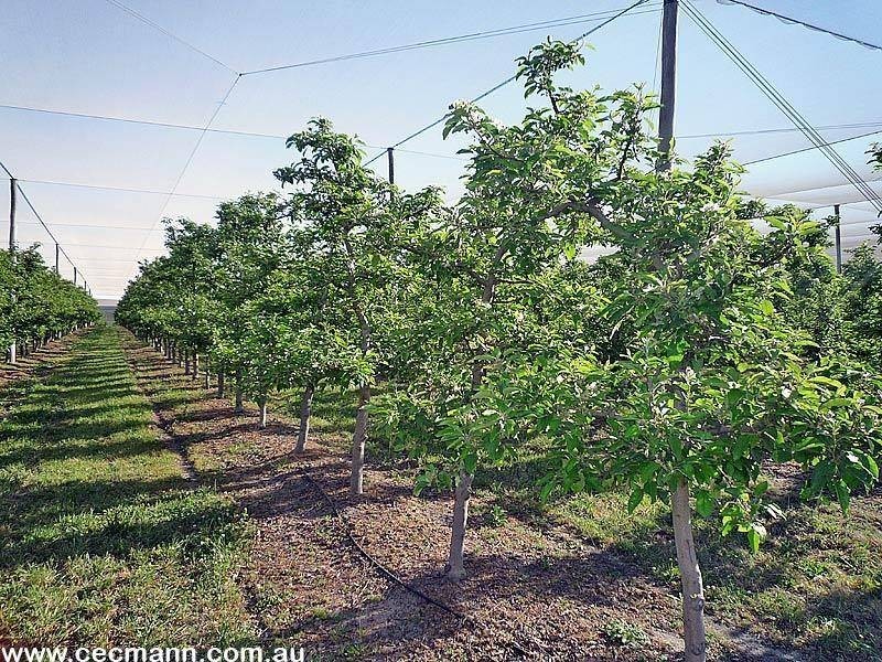 2772 Amiens Road, Pozieres QLD 4352