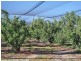 2772 Amiens Road, Pozieres QLD 4352