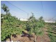 2772 Amiens Road, Pozieres QLD 4352