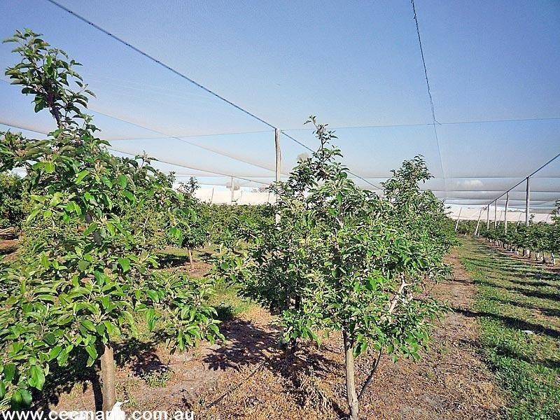 2772 Amiens Road, Pozieres QLD 4352